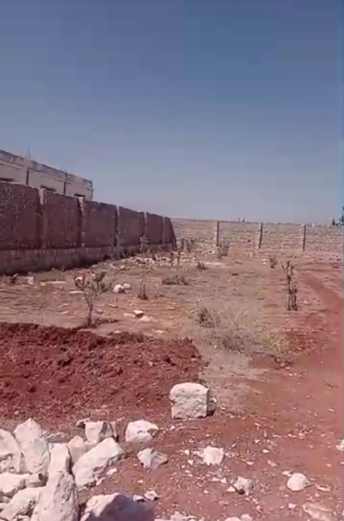 الصورة
