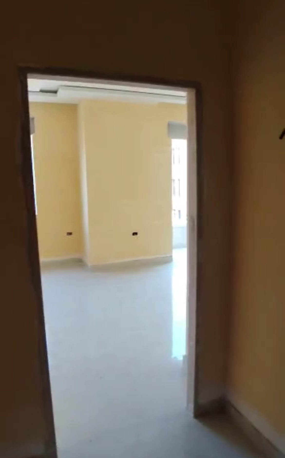 الصورة