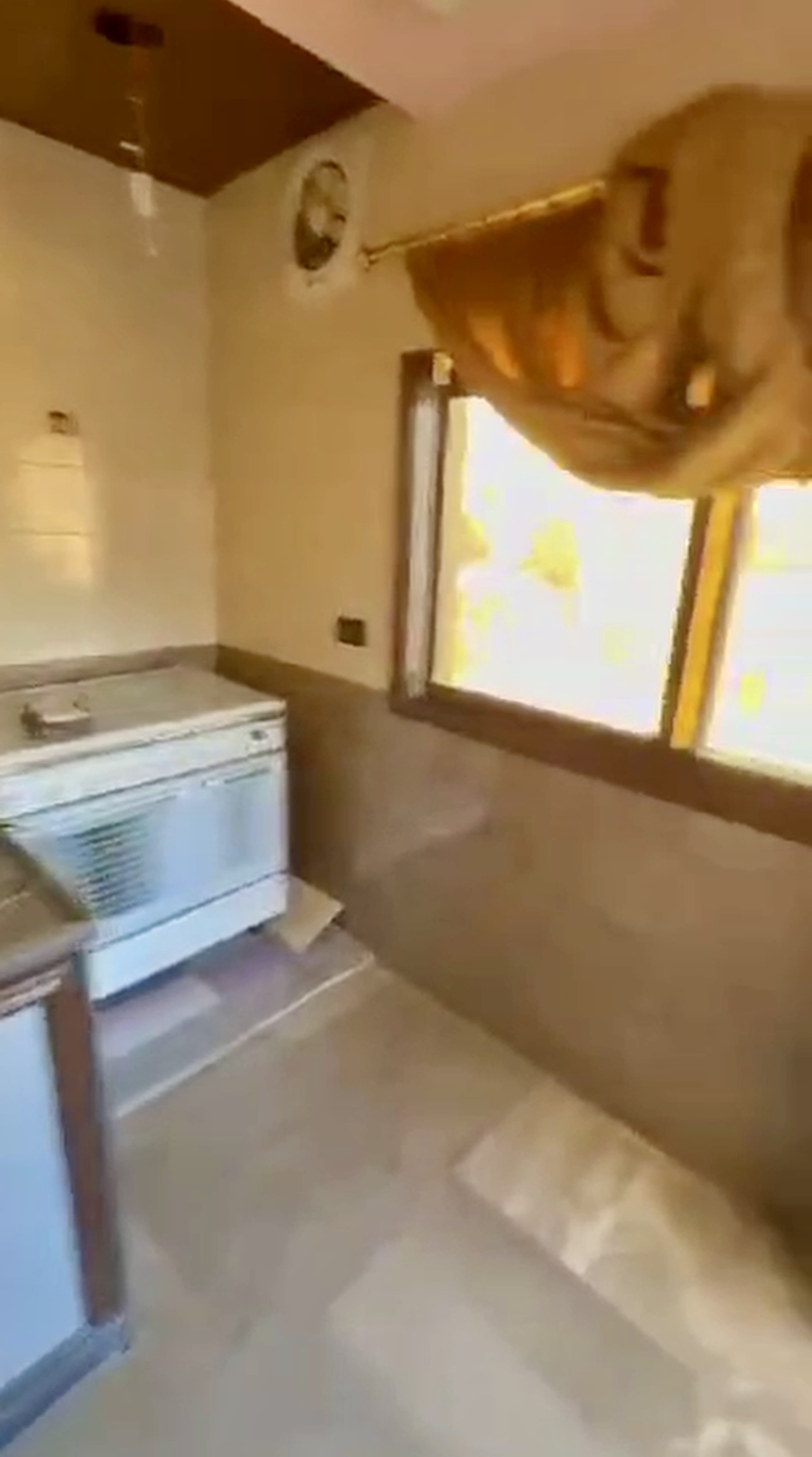 الصورة