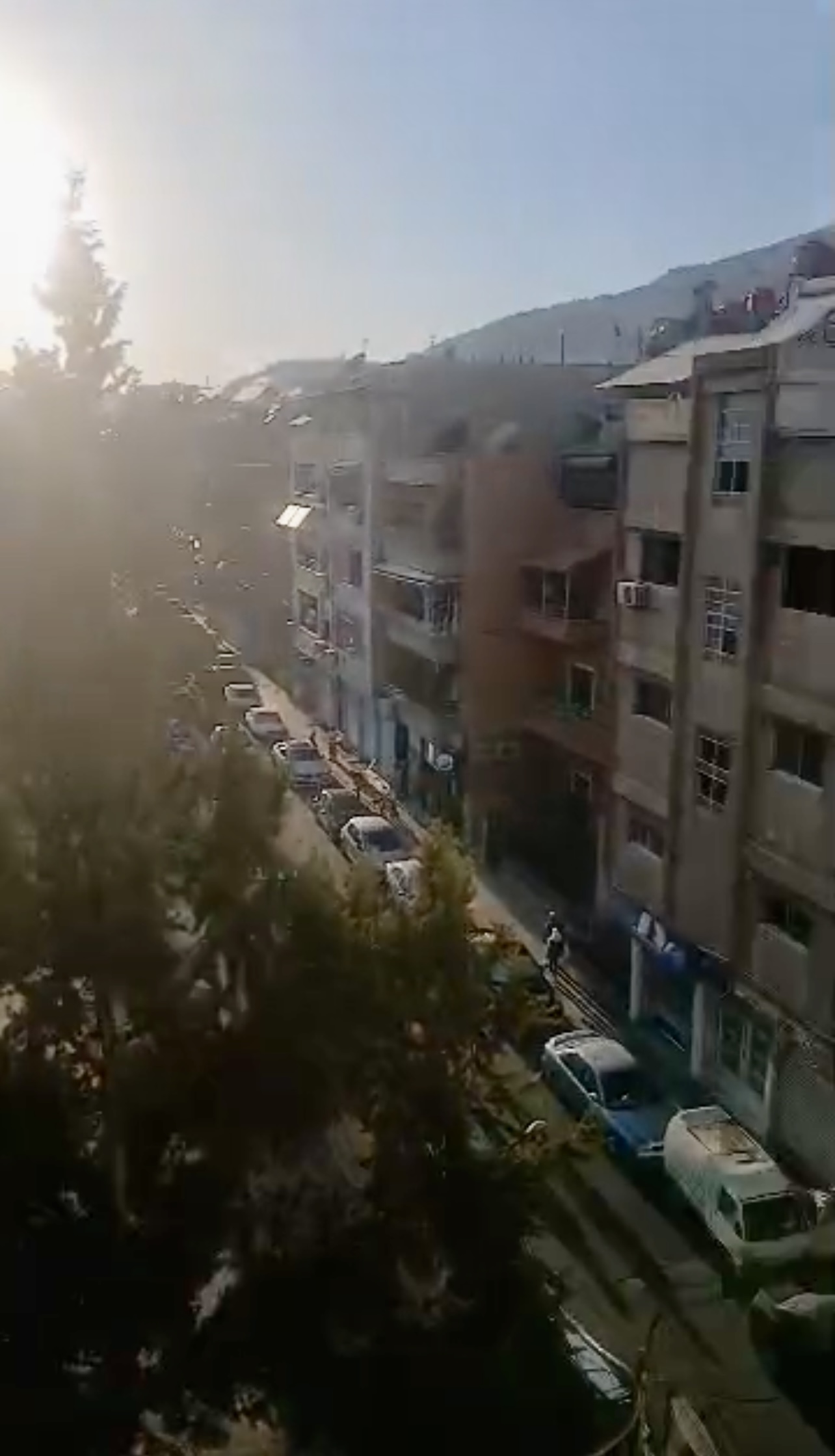 الصورة