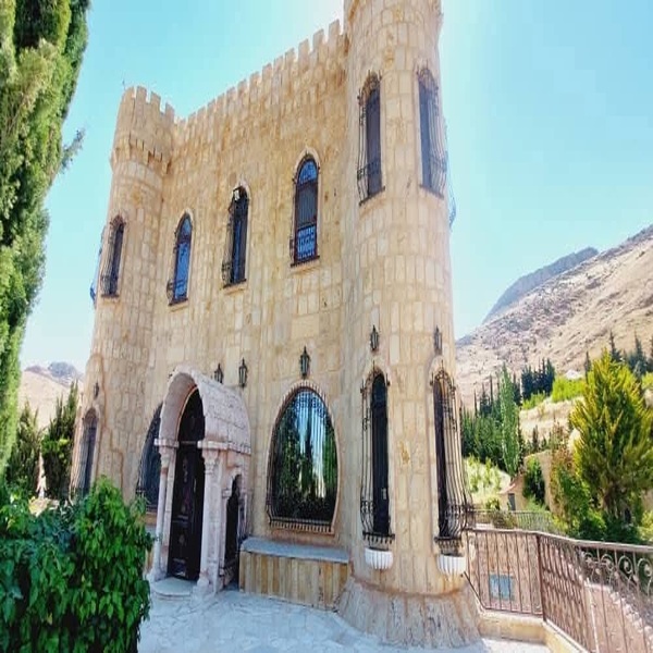 الصورة