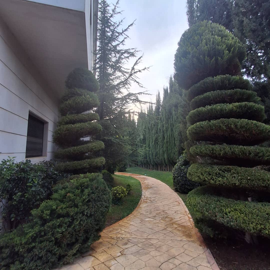 الصورة