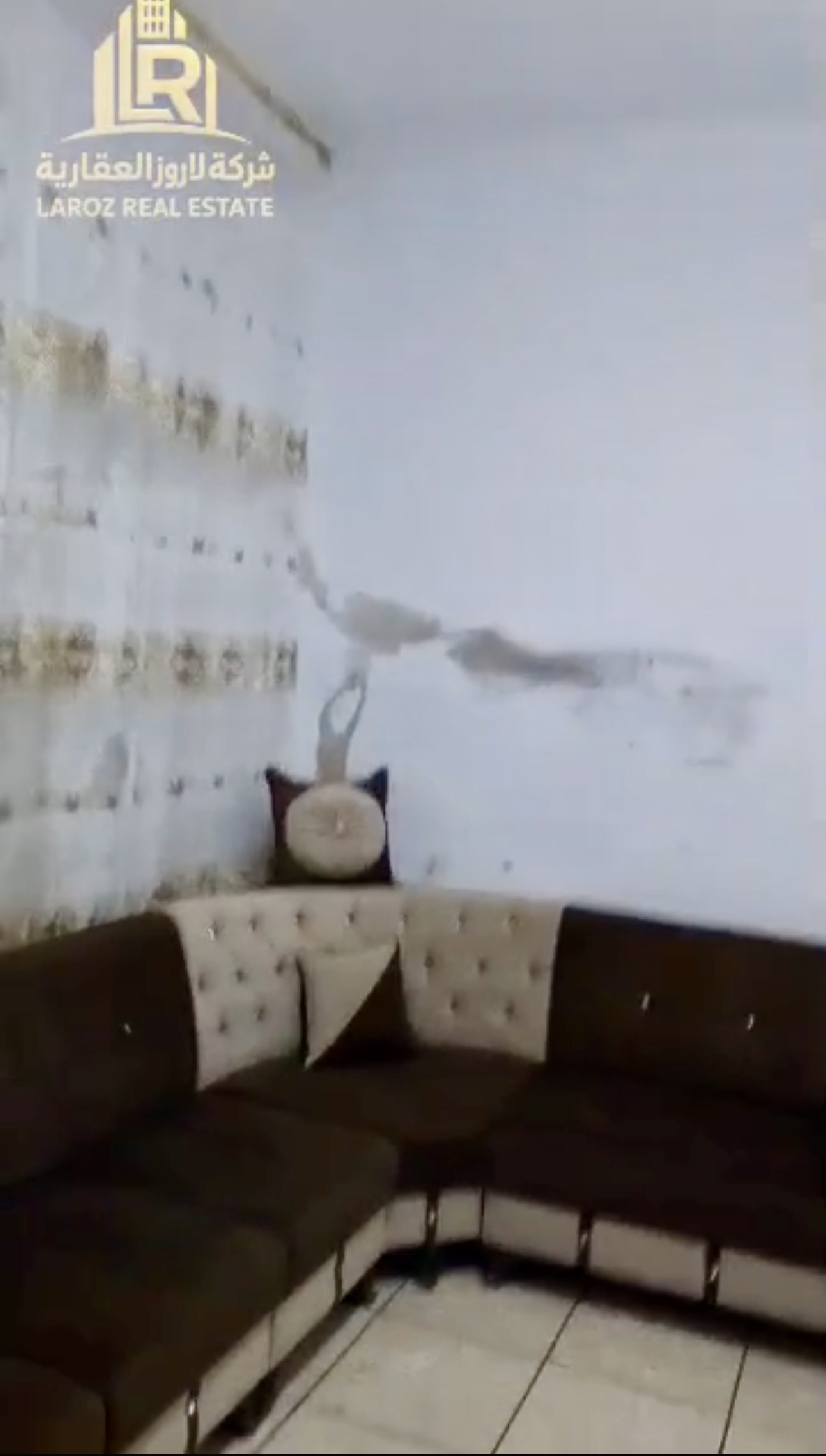 الصورة