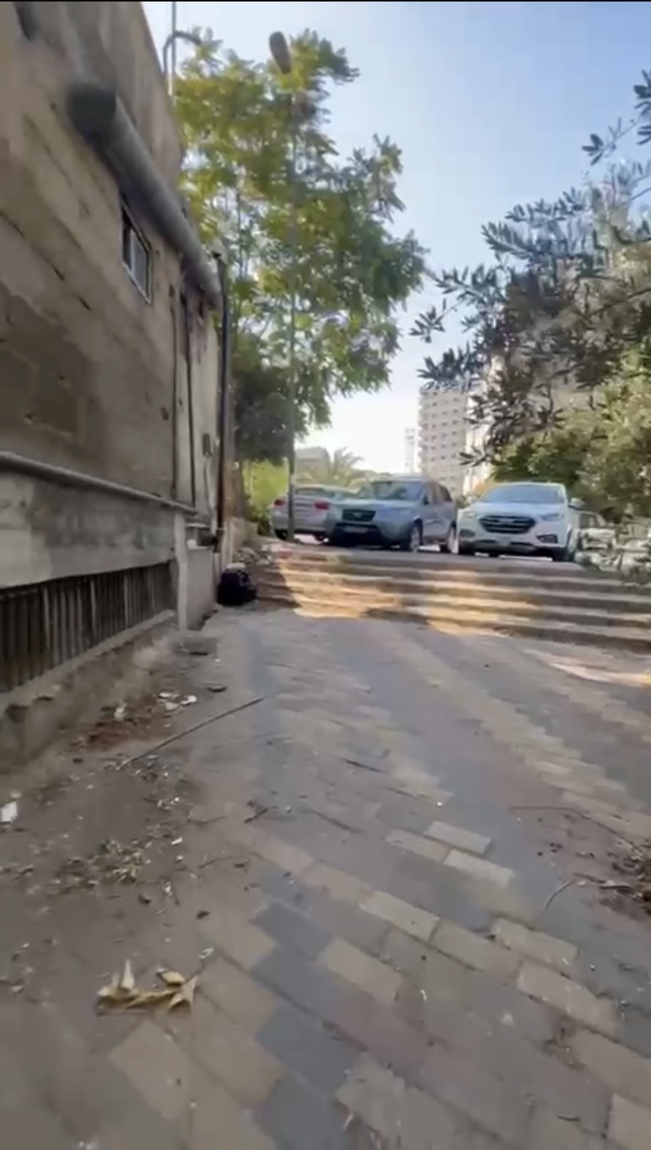 الصورة