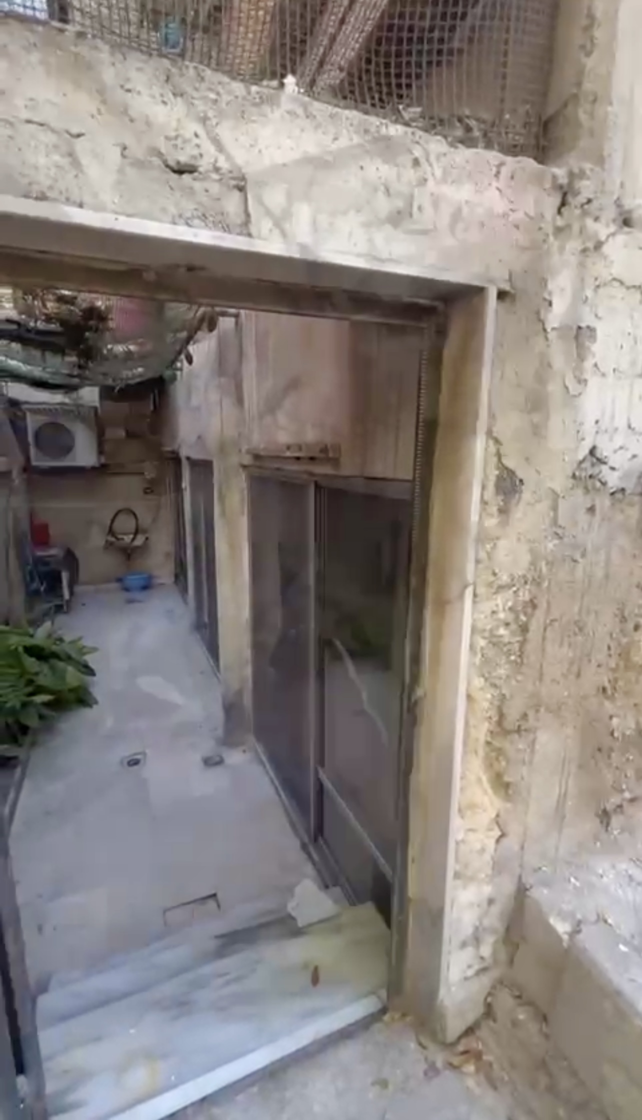 الصورة
