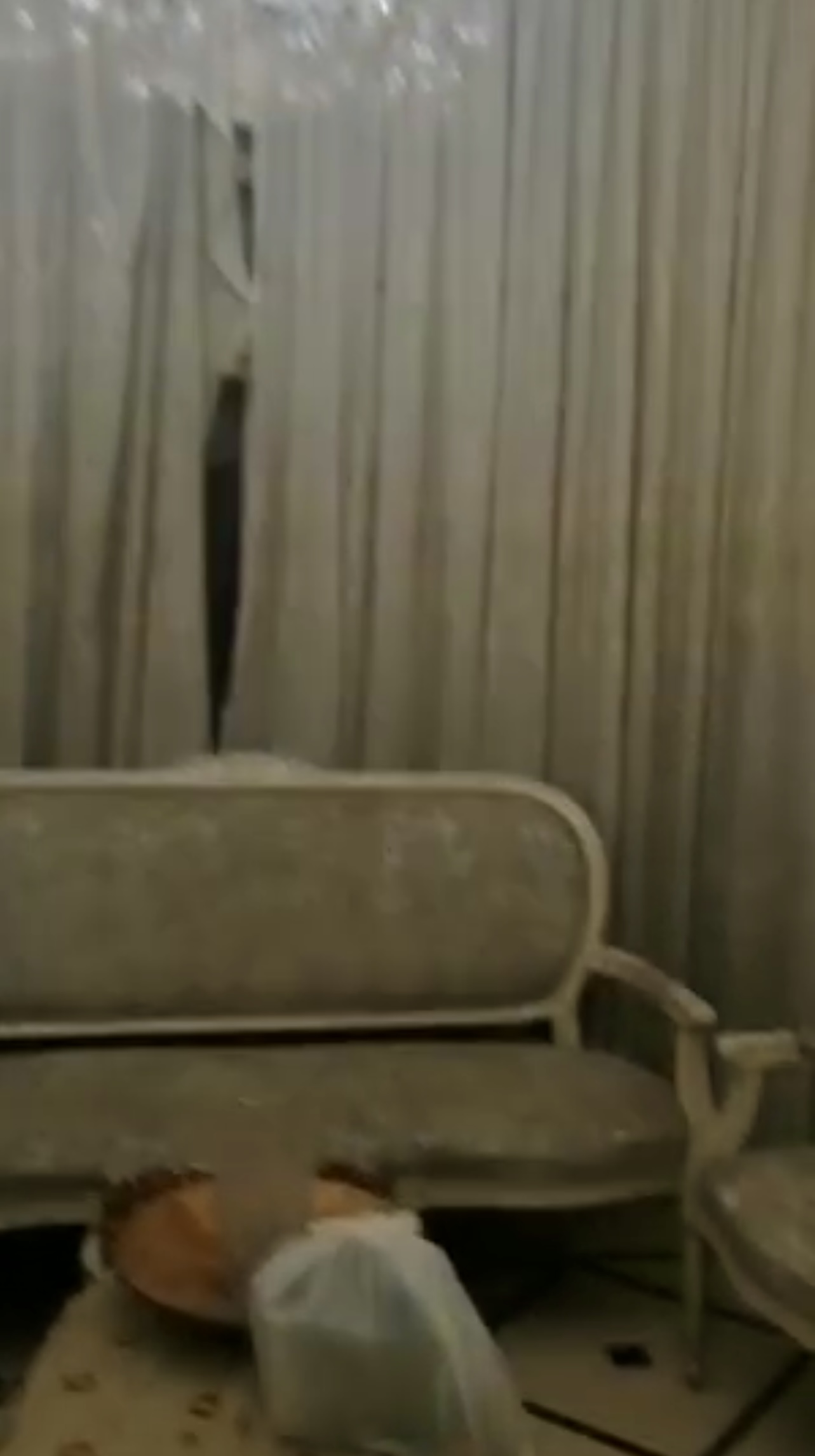 الصورة