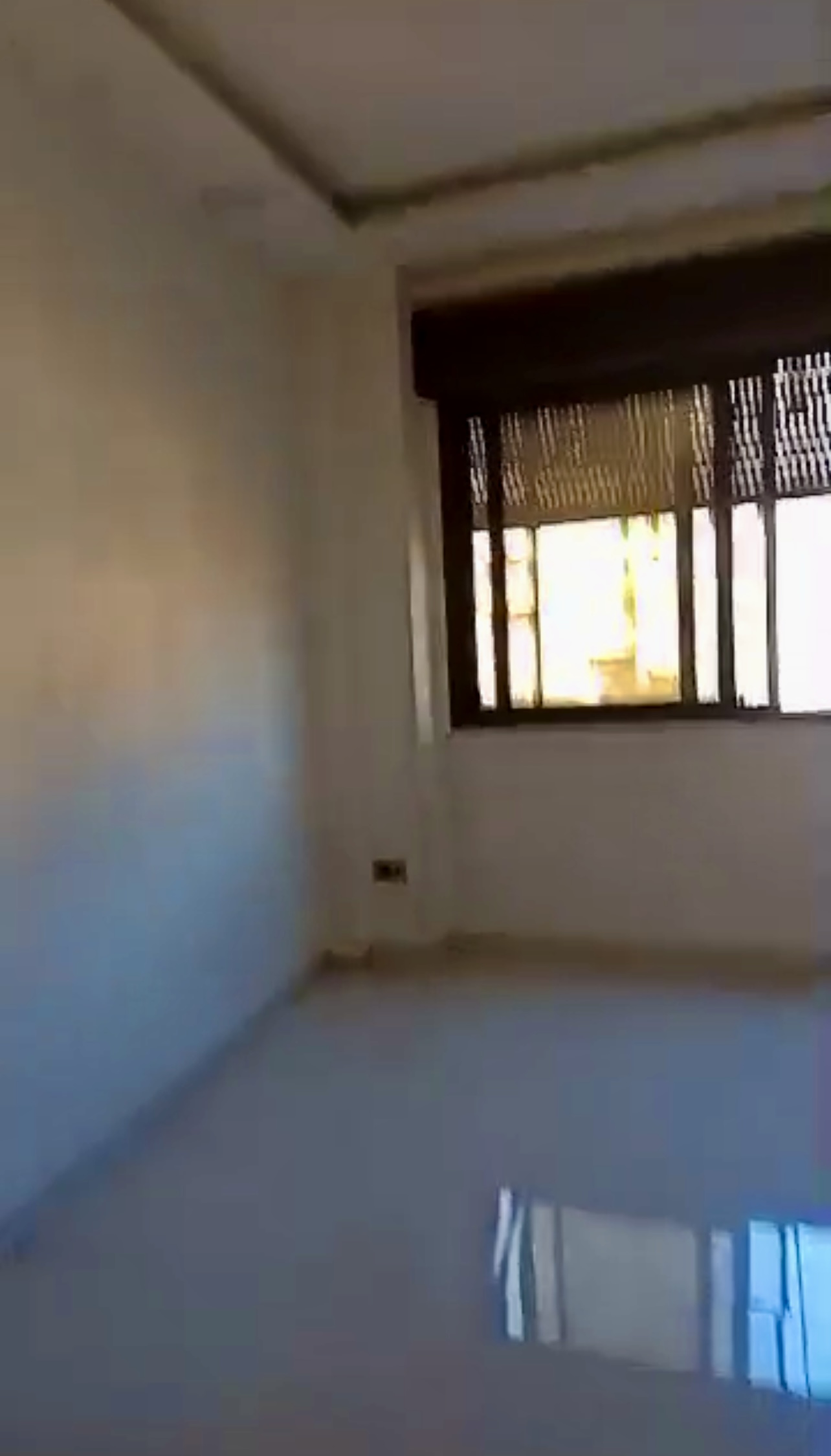 الصورة