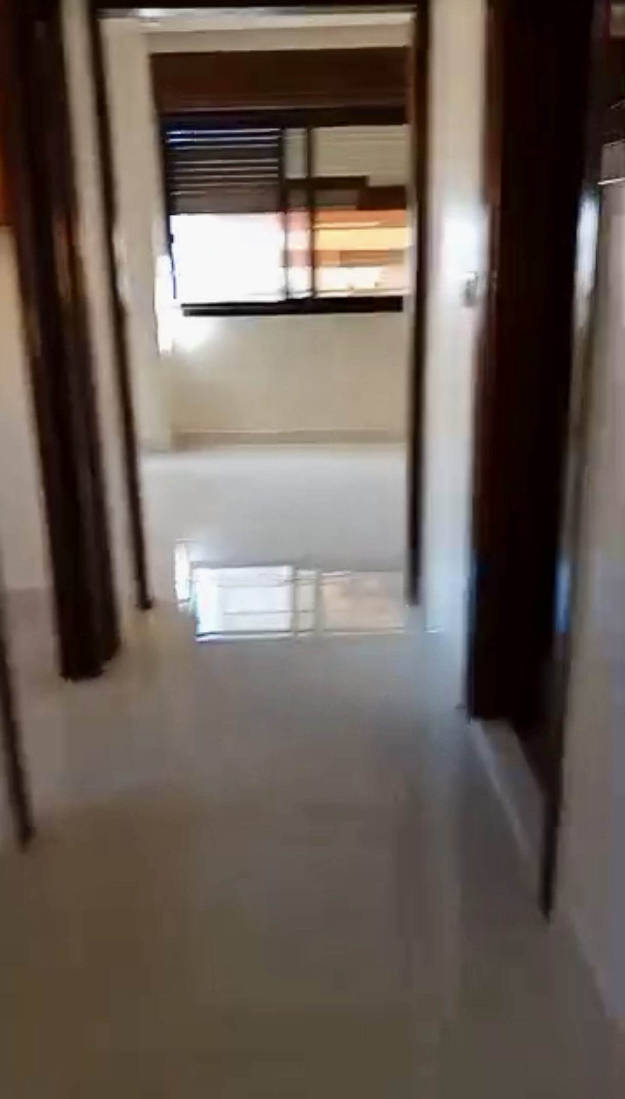 الصورة