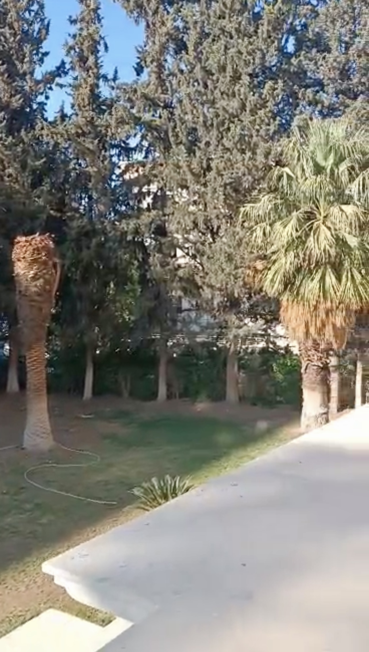 الصورة