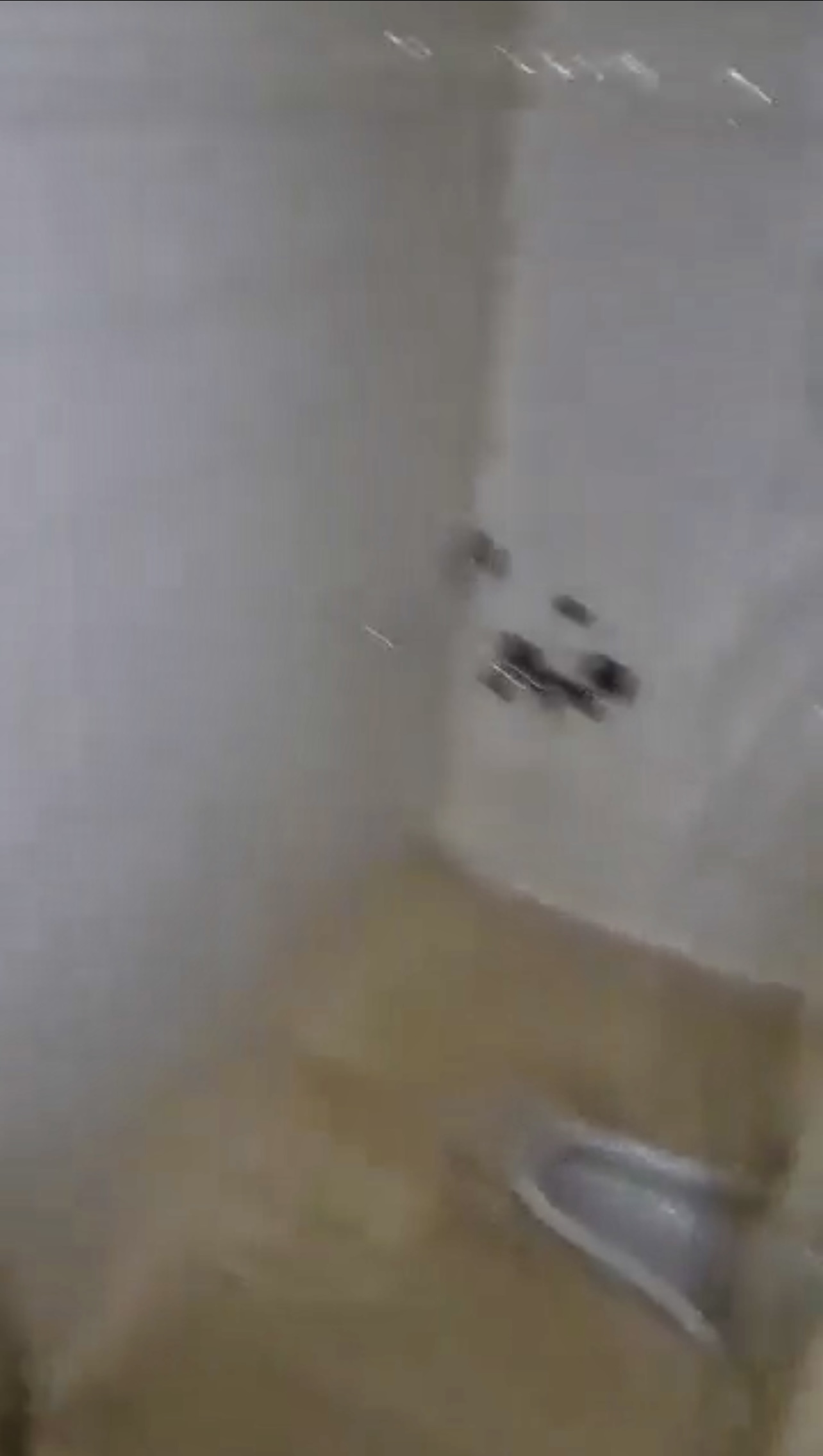 الصورة