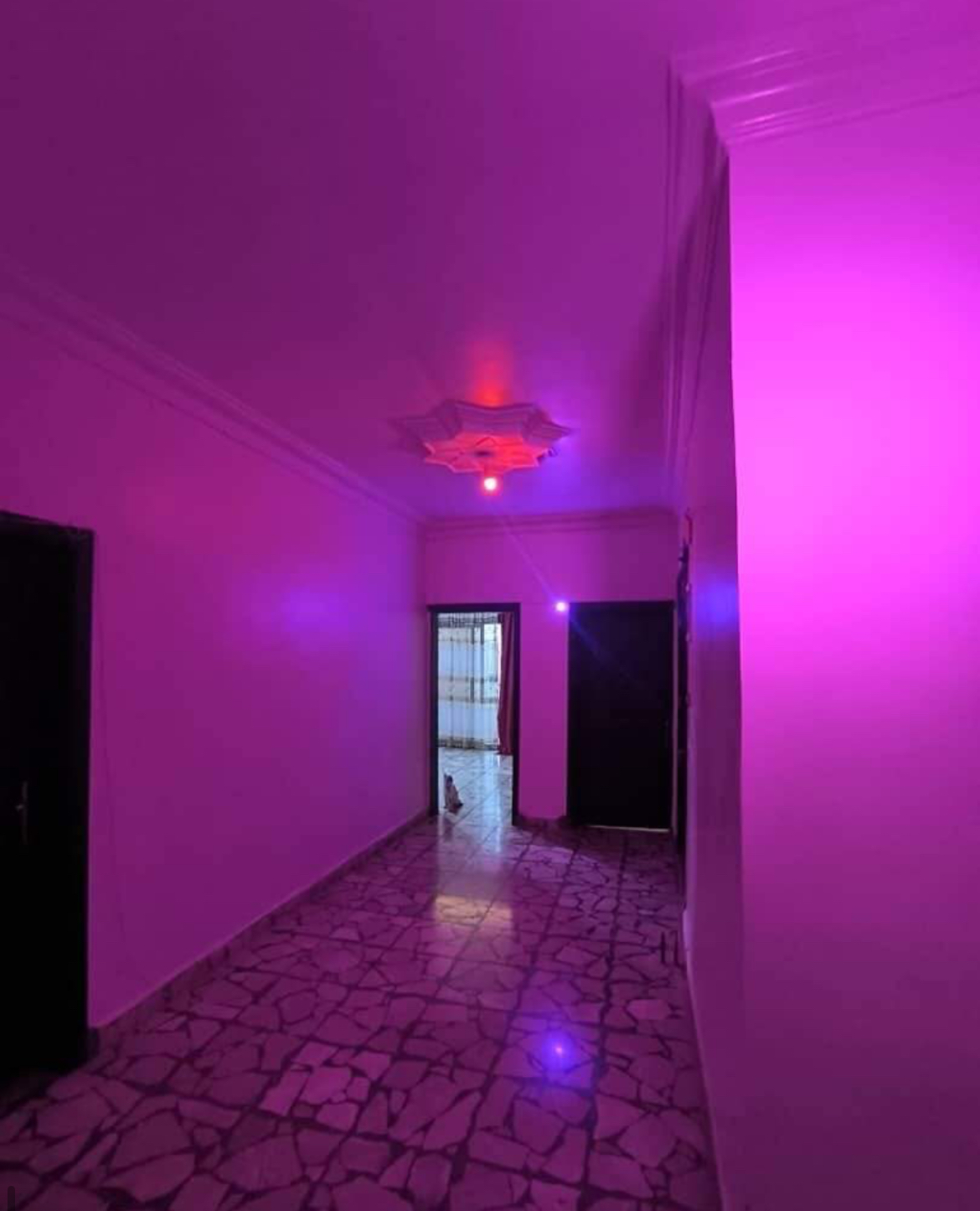 الصورة