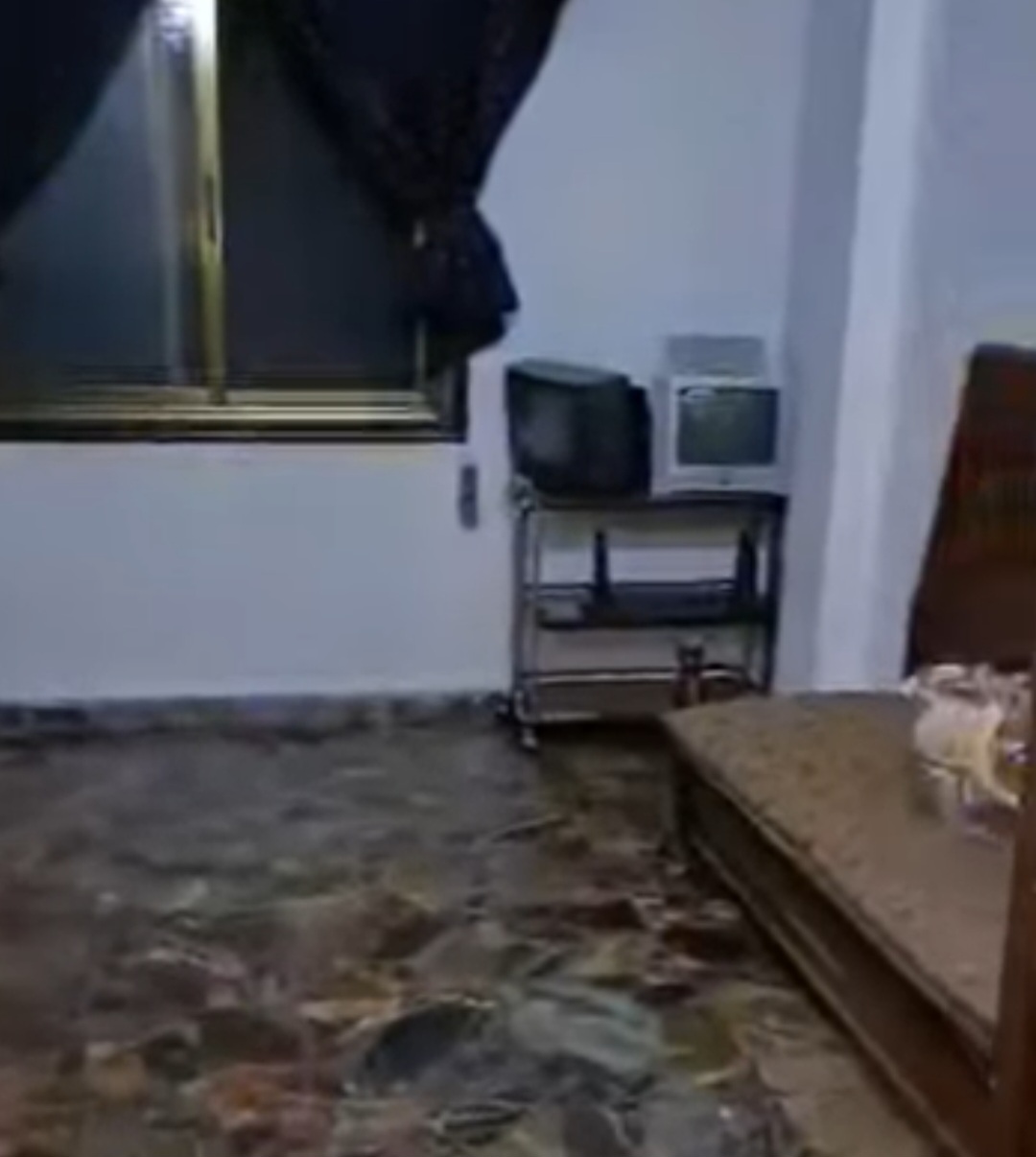الصورة