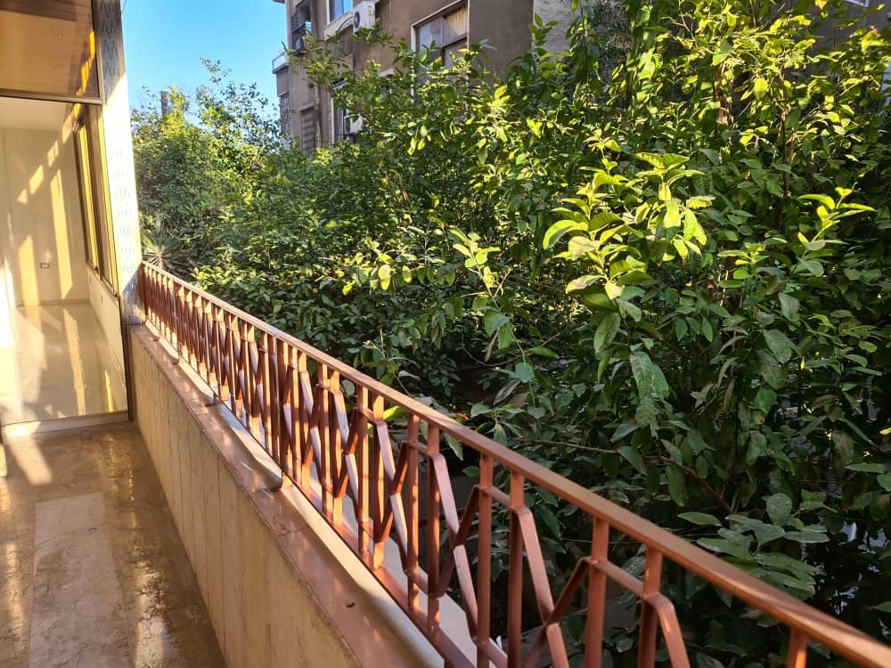 الصورة