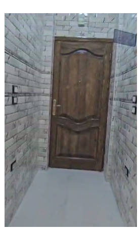 الصورة