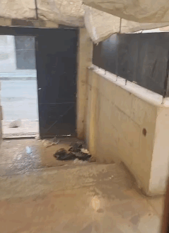 للايجار شقة بمدخل خاص