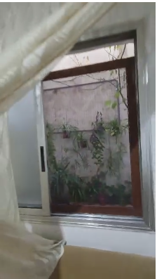 الصورة