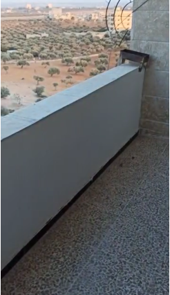 الصورة