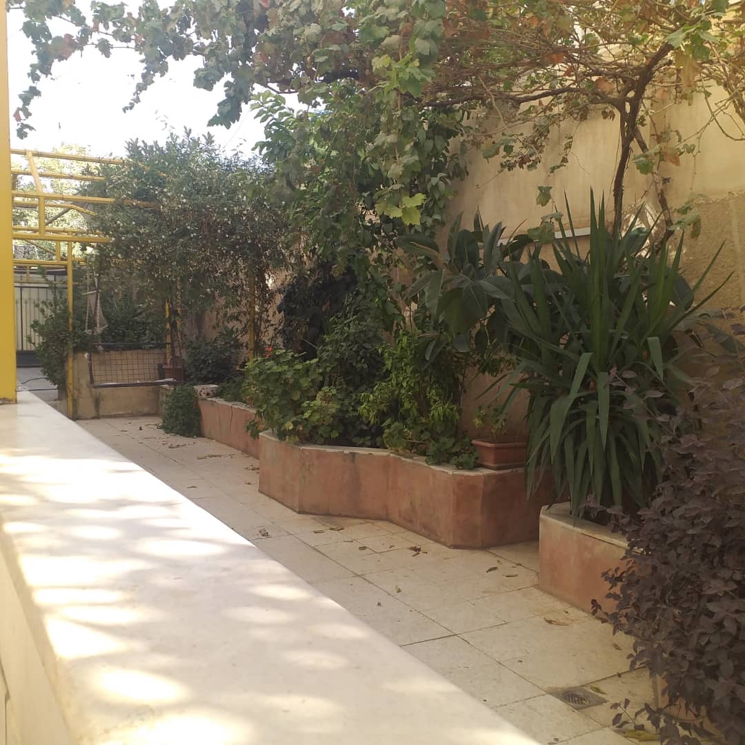 الصورة