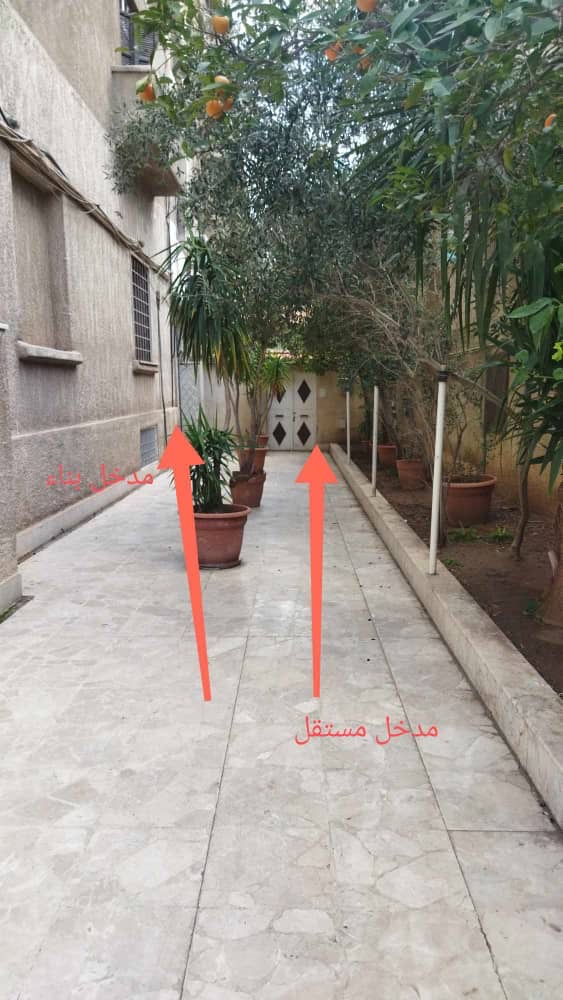 الصورة