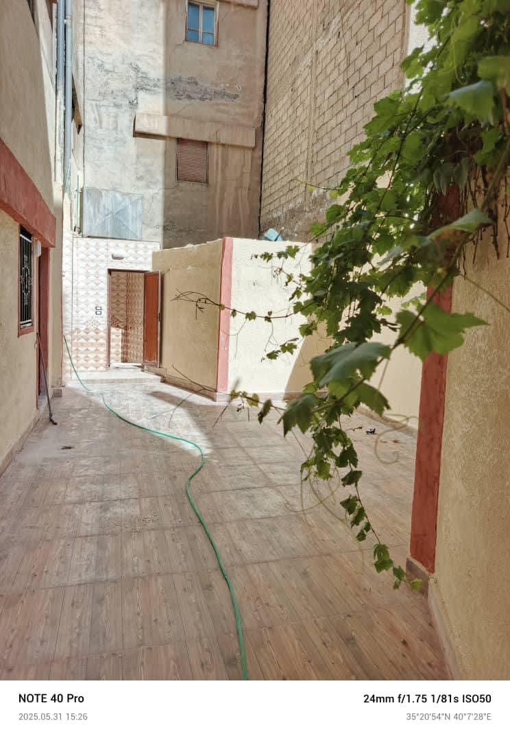 الصورة