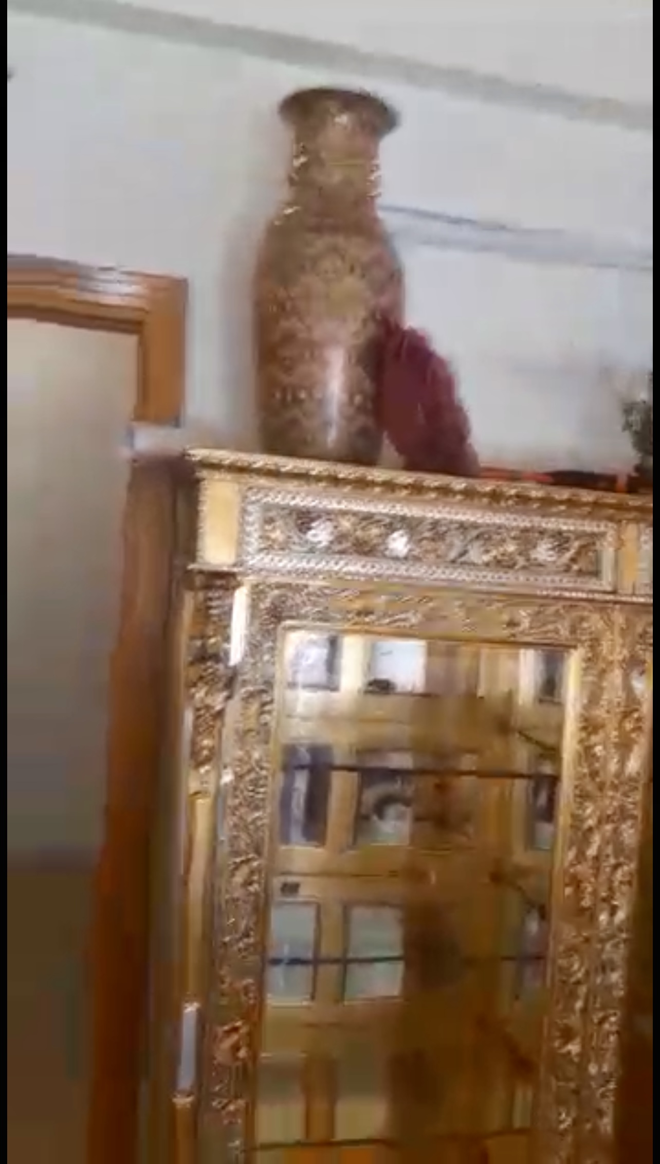 الصورة