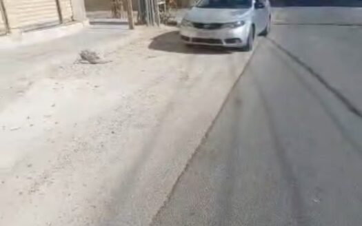 للبيع محل تجاري عظم في جديدة عرطوز