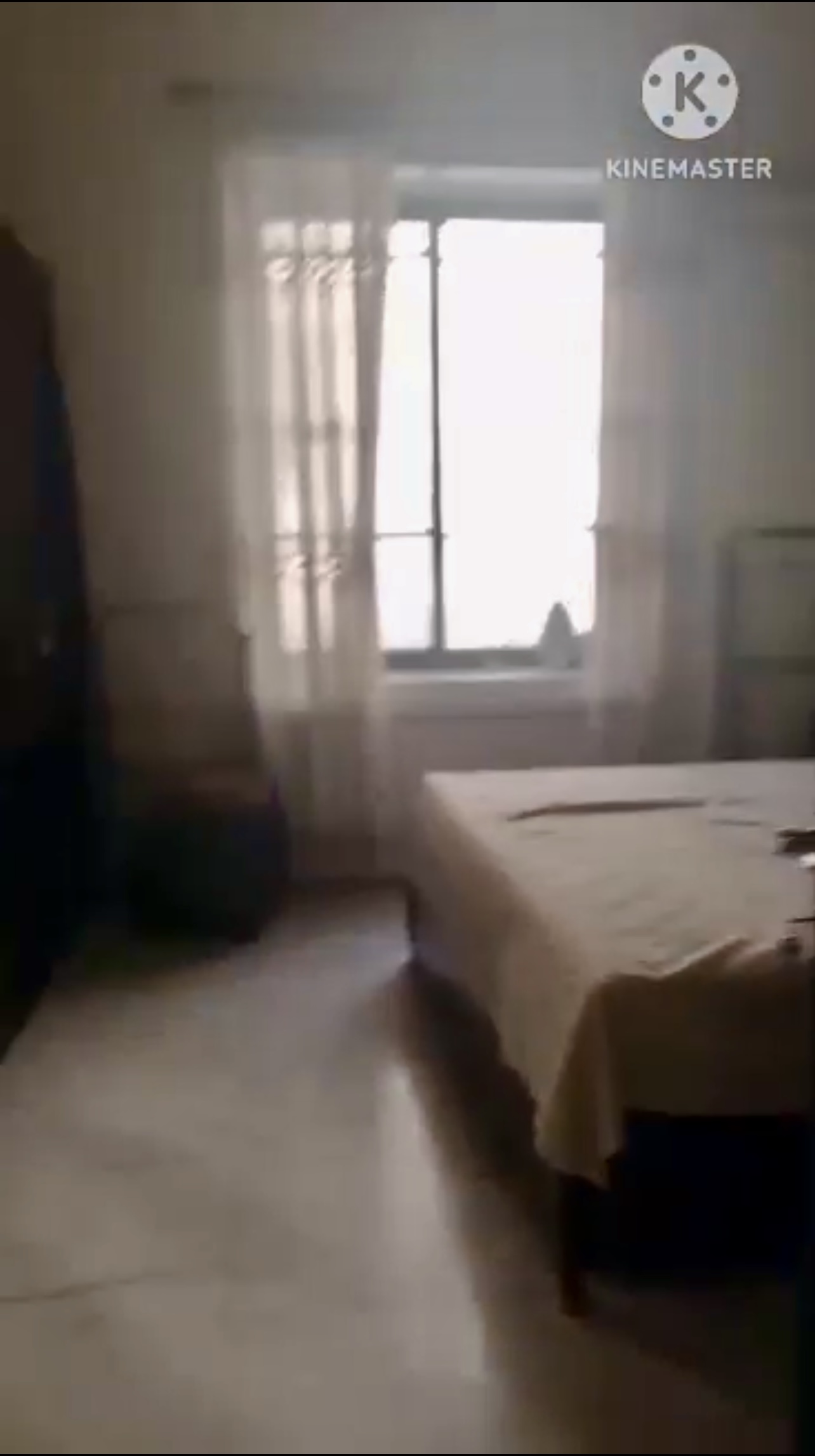 الصورة