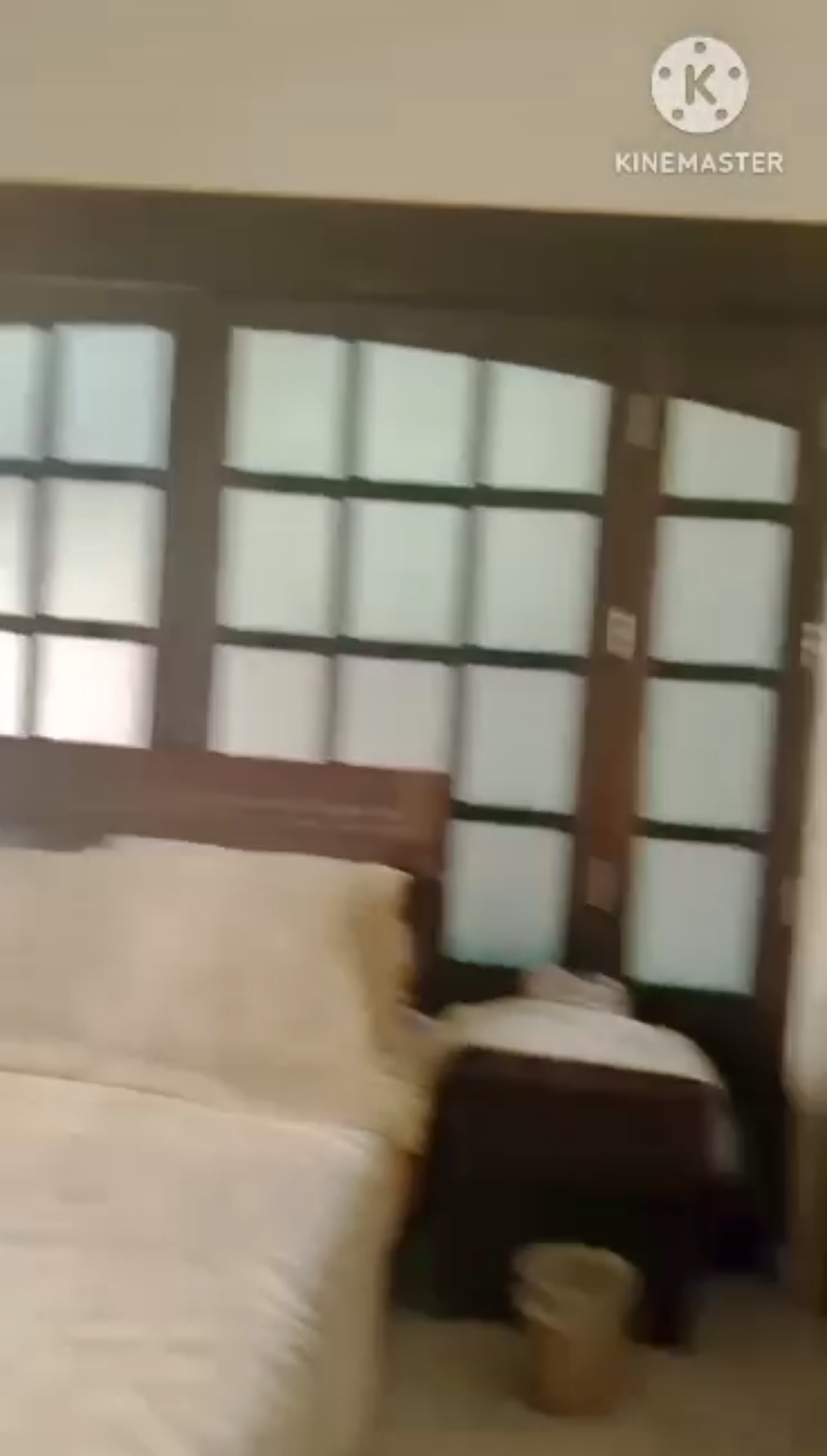 الصورة