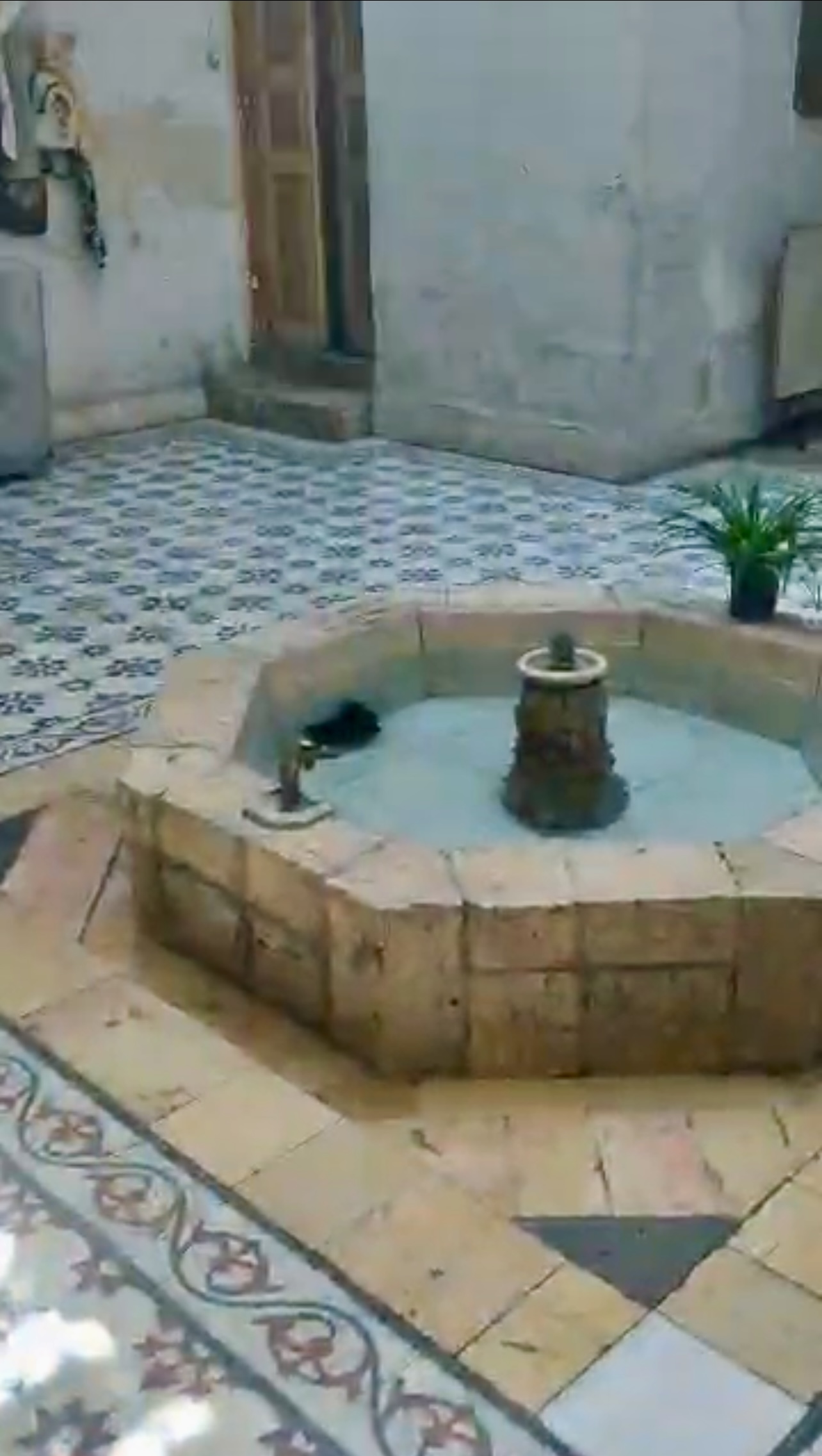 الصورة