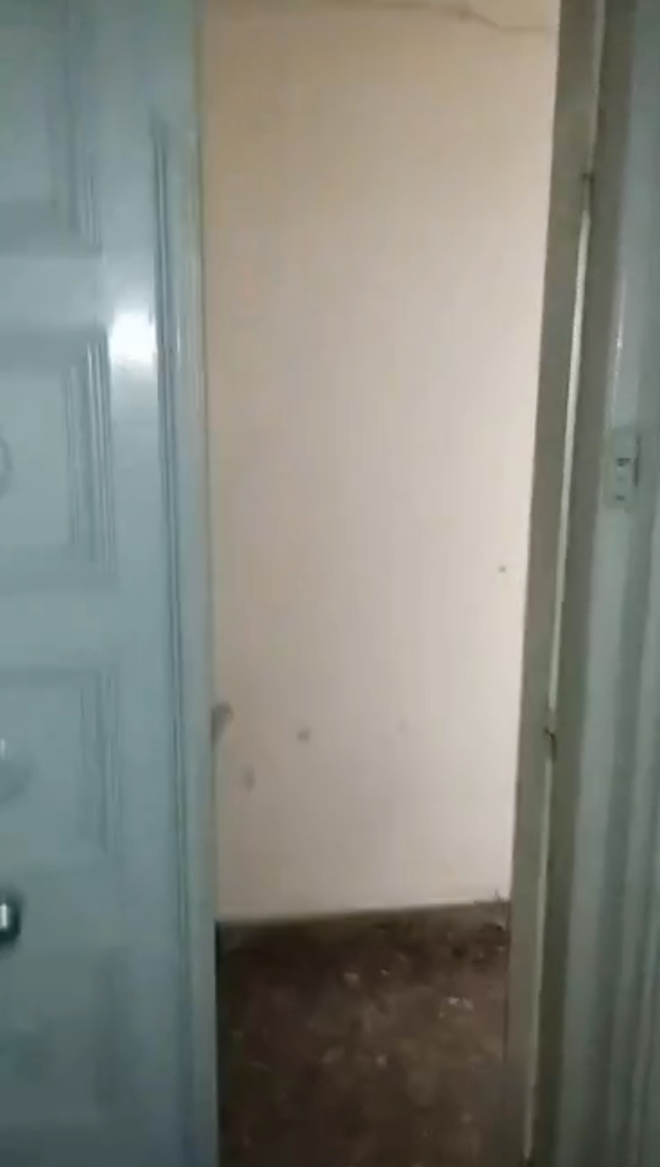 الصورة
