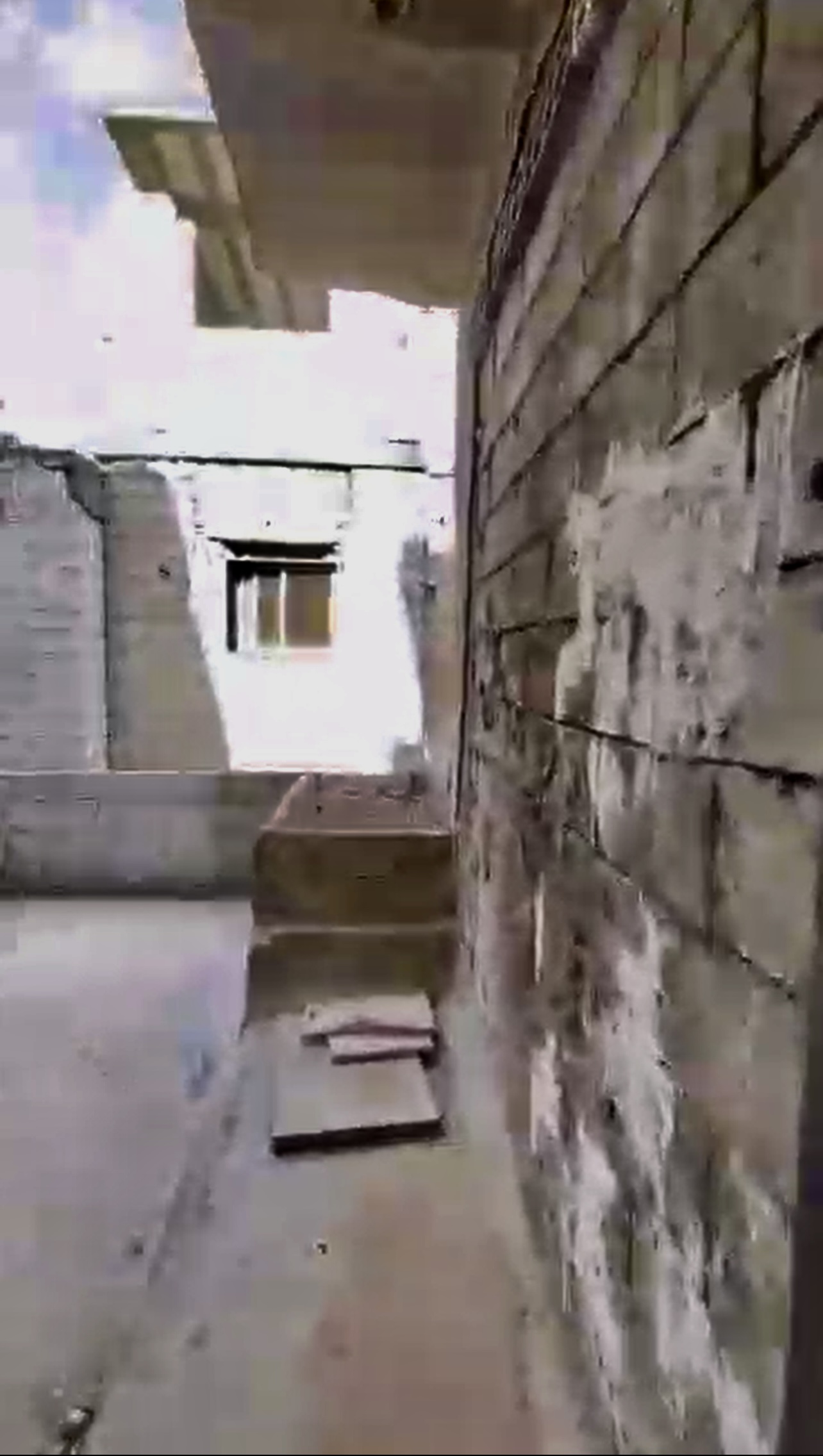 الصورة