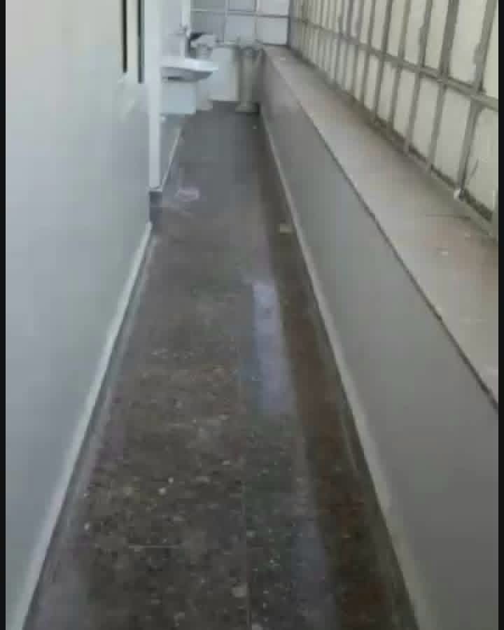 الصورة