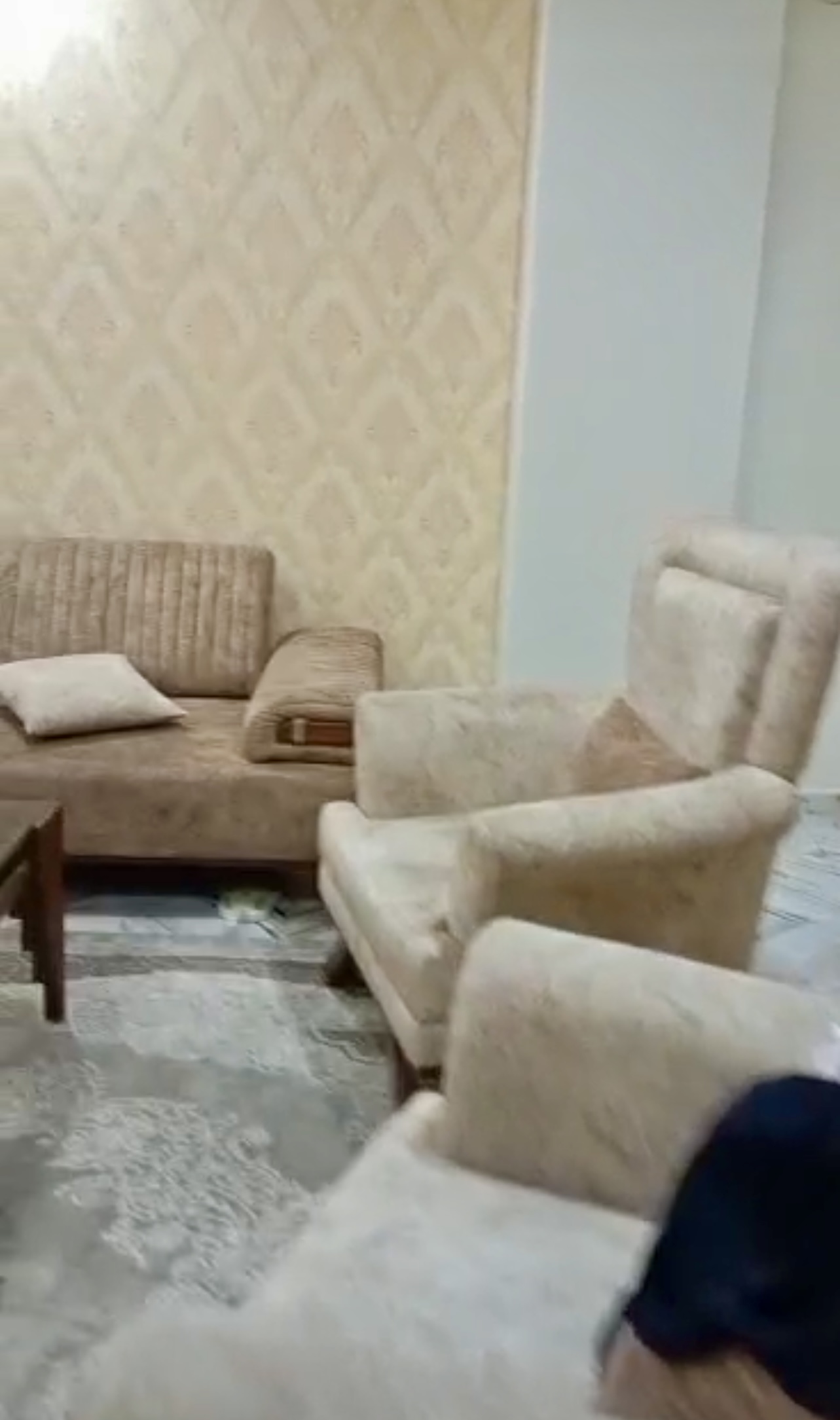 الصورة