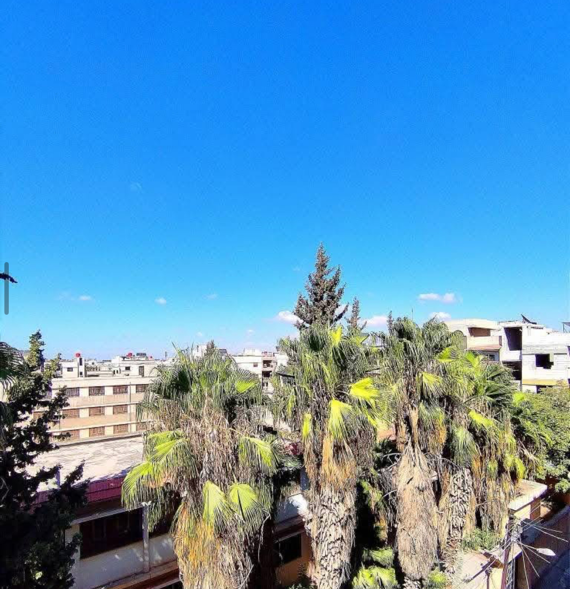 الصورة