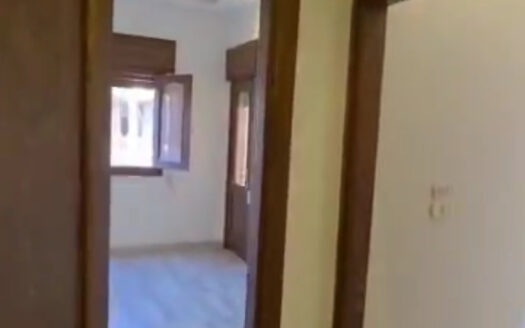 جديدة الشمالي محيط جامع الإيمان