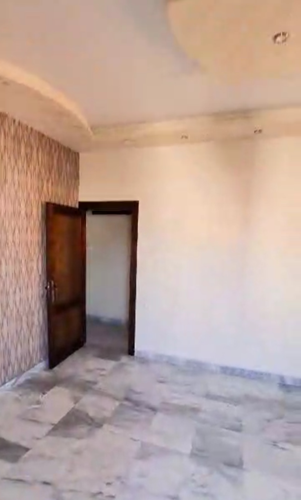 الصورة