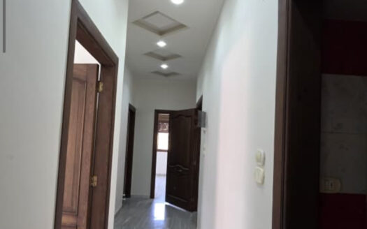 جديدة الشمالي محيط جامع الإيمان