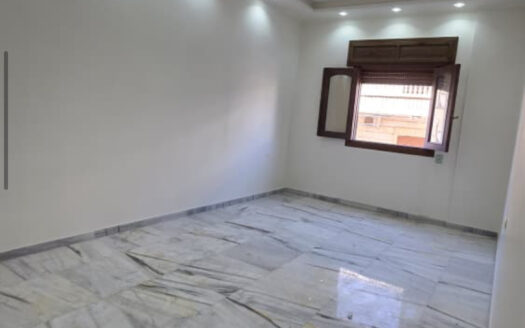 جديدة الشمالي محيط جامع الإيمان