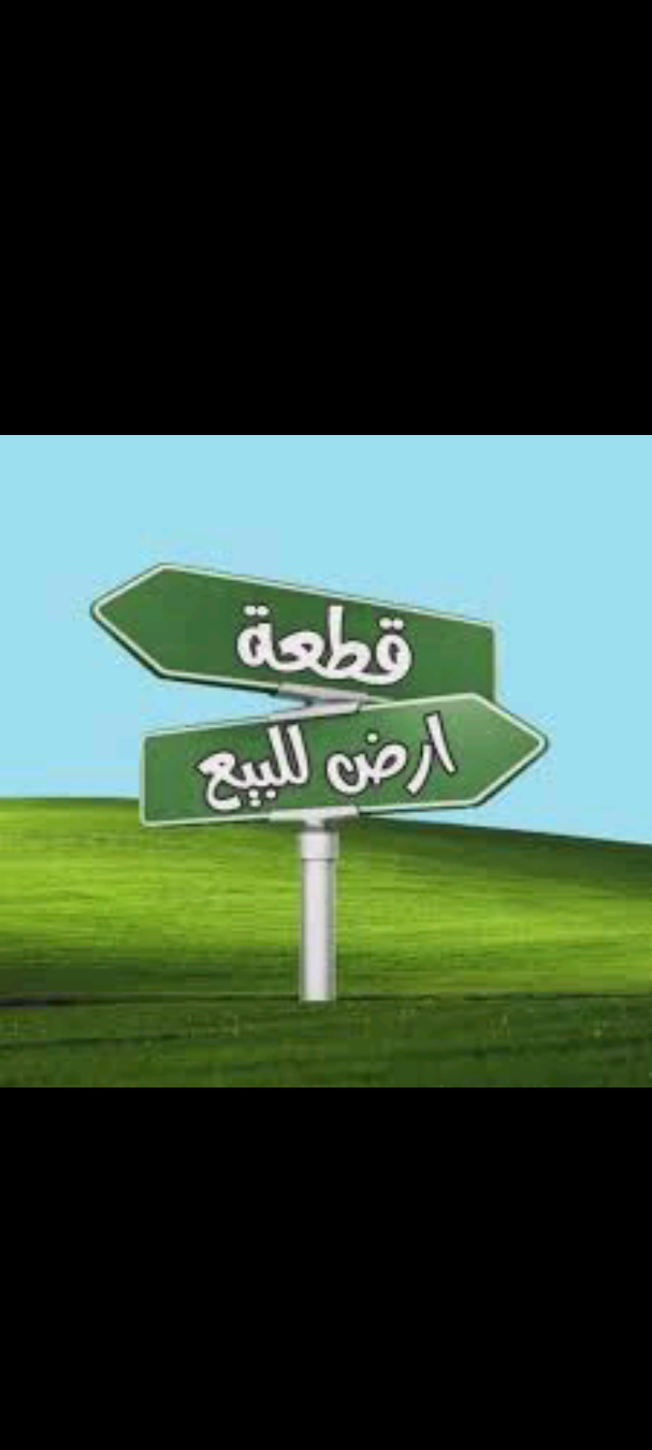 الصورة