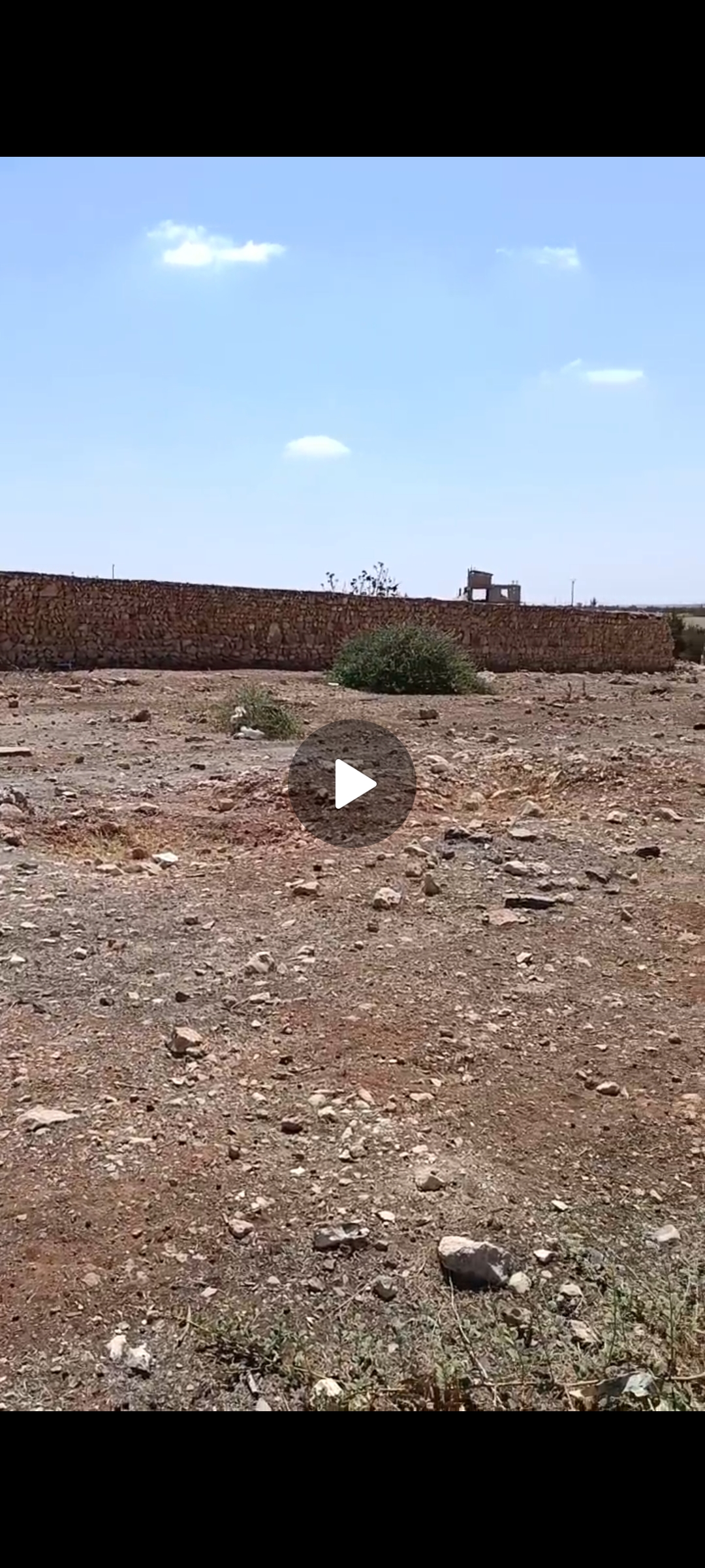 الصورة