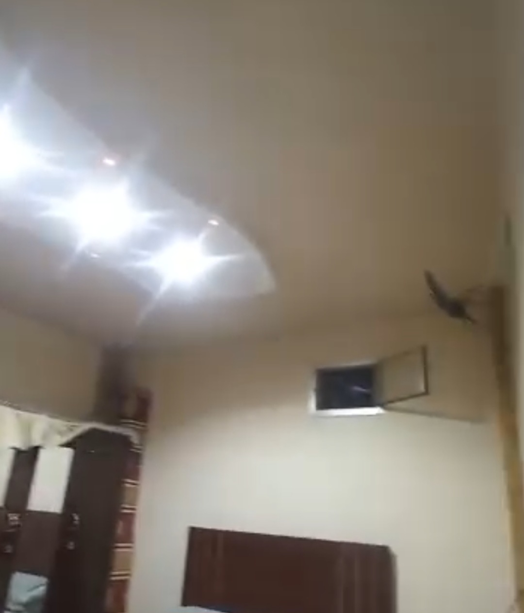 الصورة