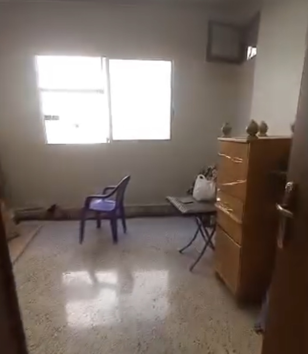 الصورة