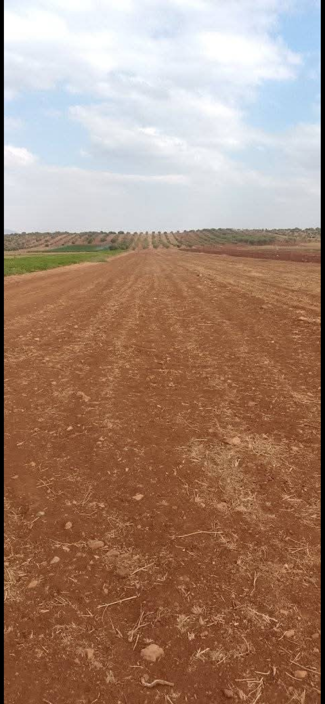 الصورة