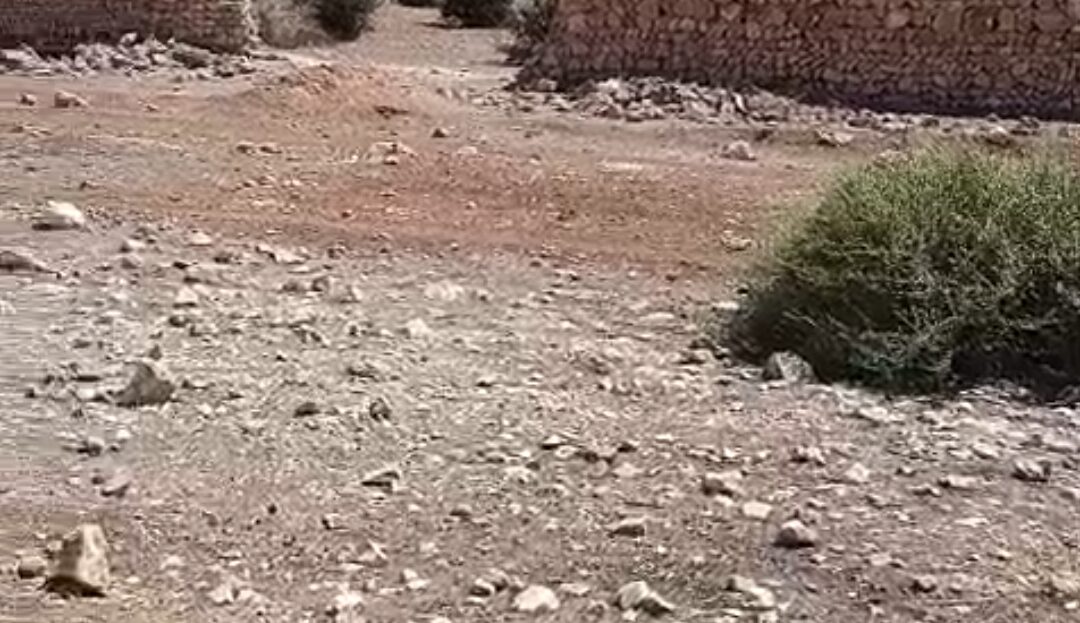 صورة فيديو