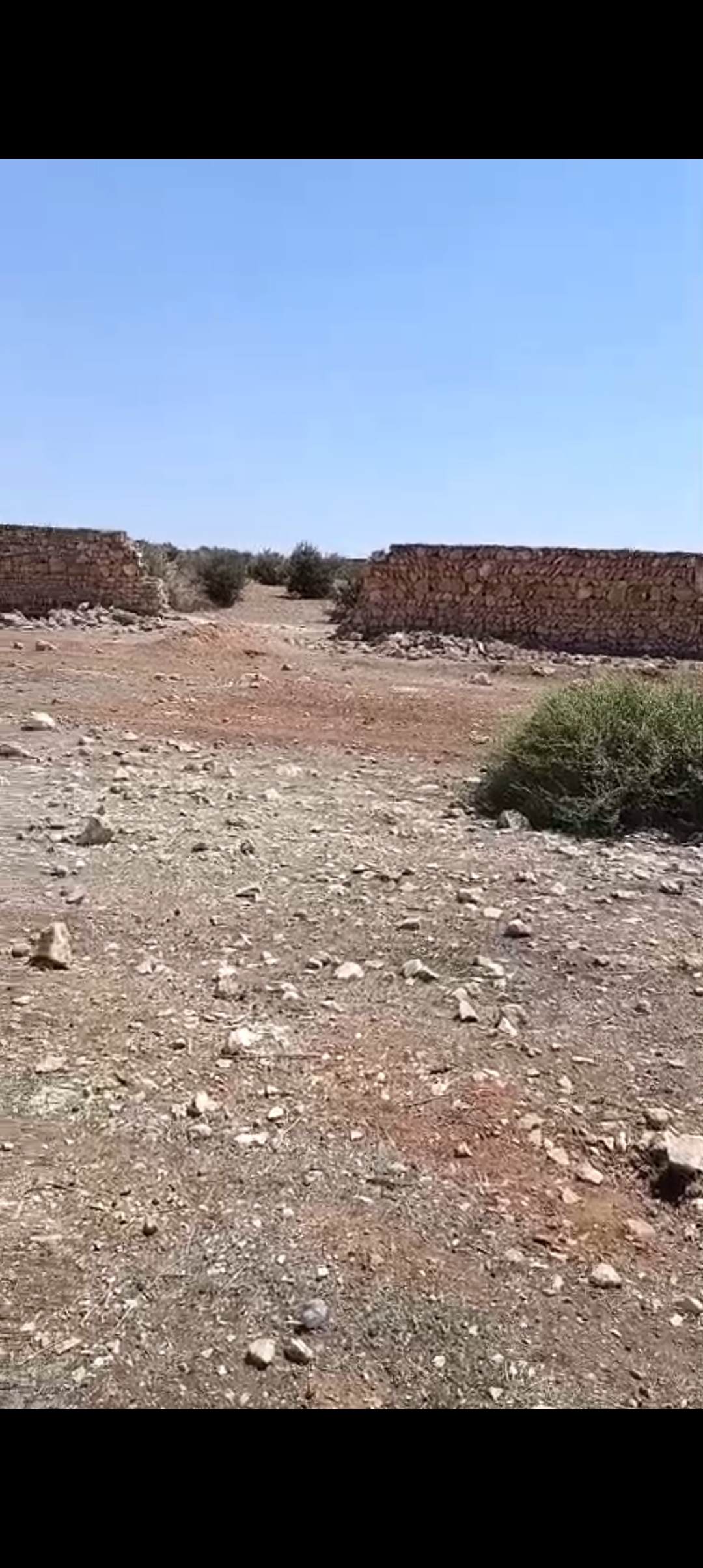 الصورة