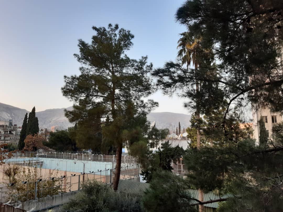 الصورة
